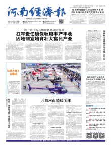 河南经济报期刊